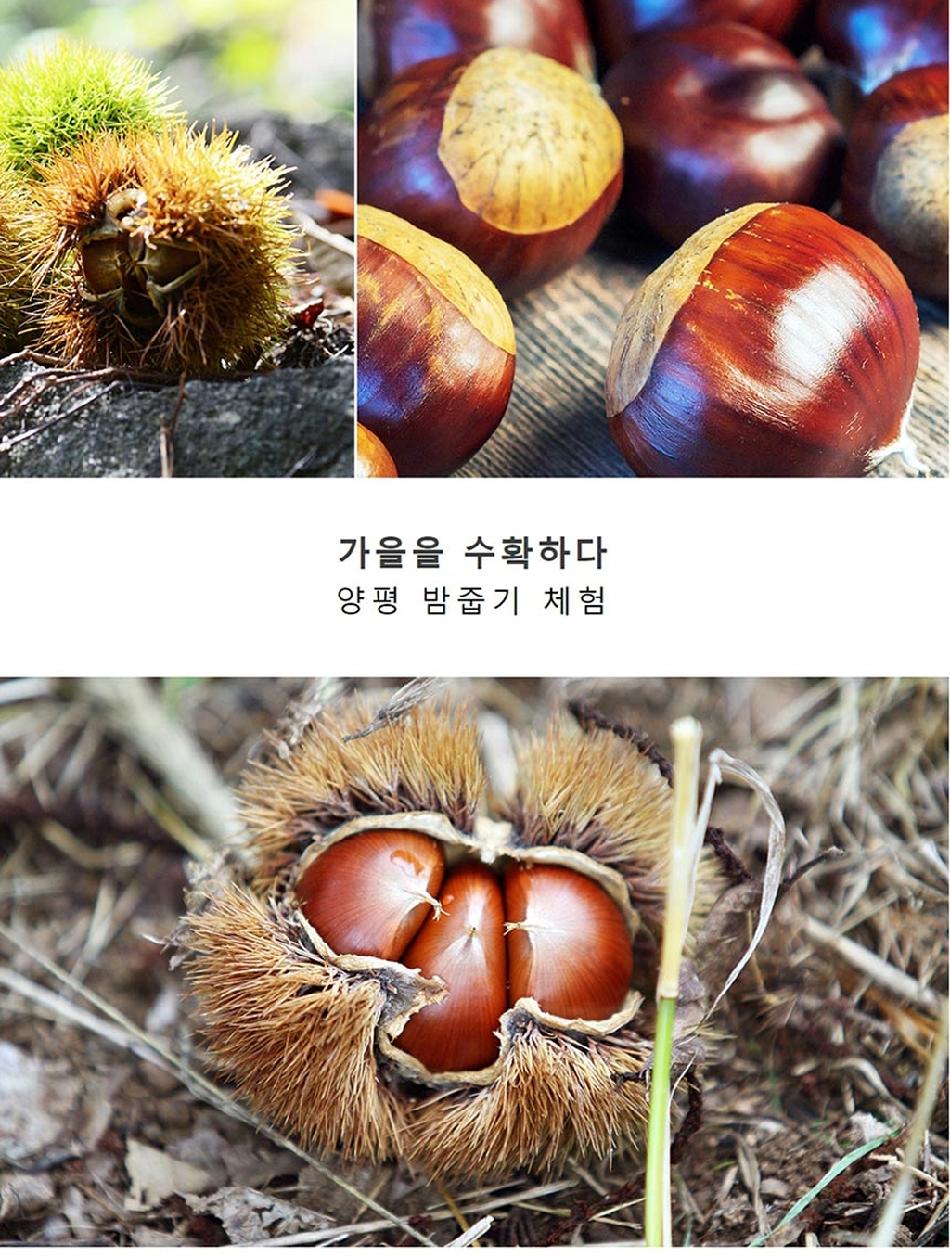 상품 상세 이미지 3