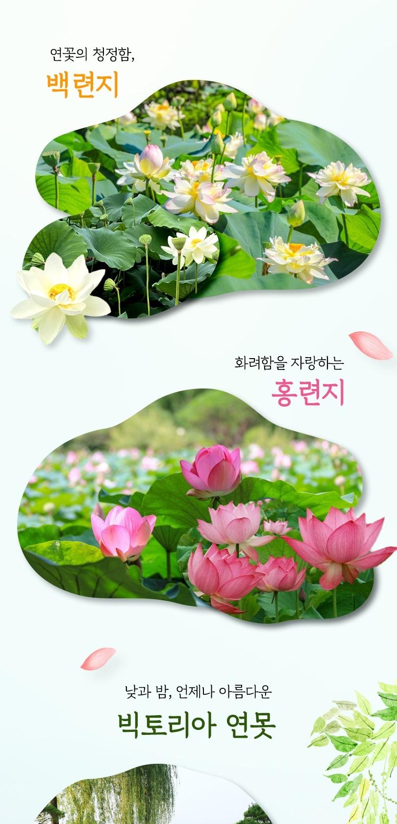 상품 상세 이미지 5