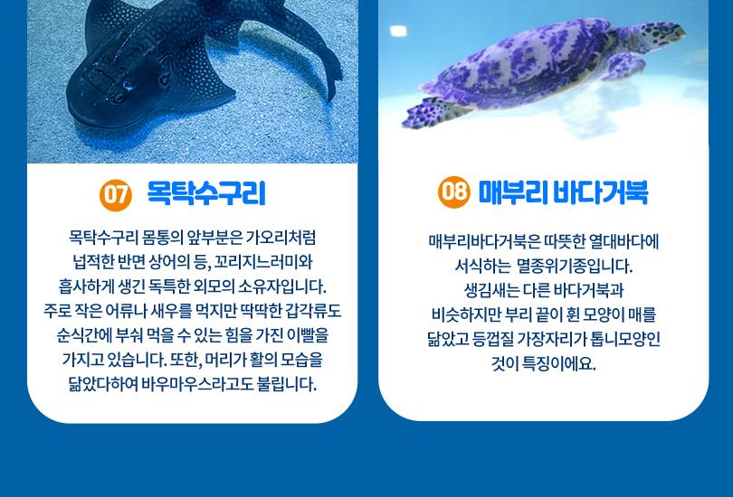 상품 상세 이미지 9