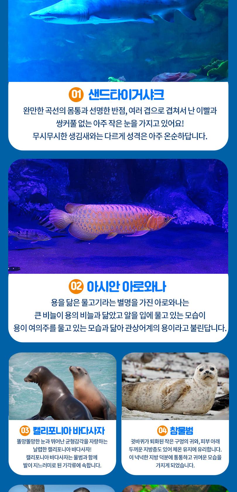 상품 상세 이미지 7
