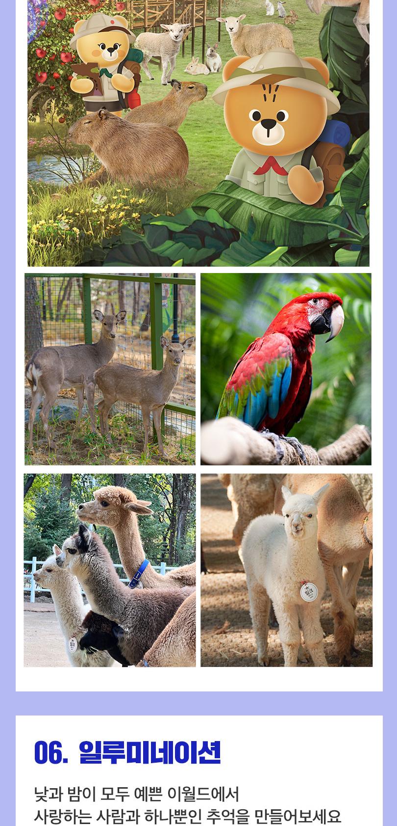 상품 상세 이미지 17