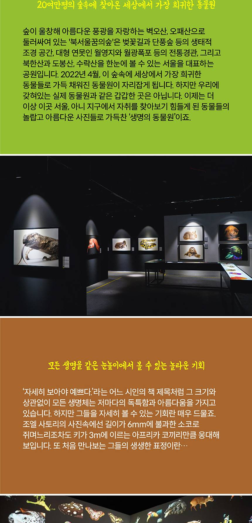 상품 상세 이미지 6