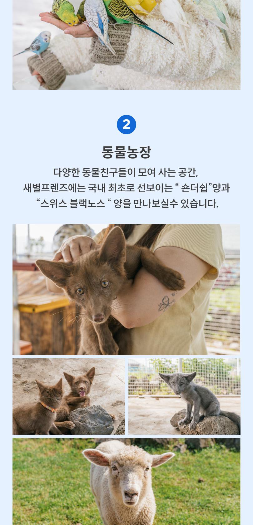 상품 상세 이미지 4