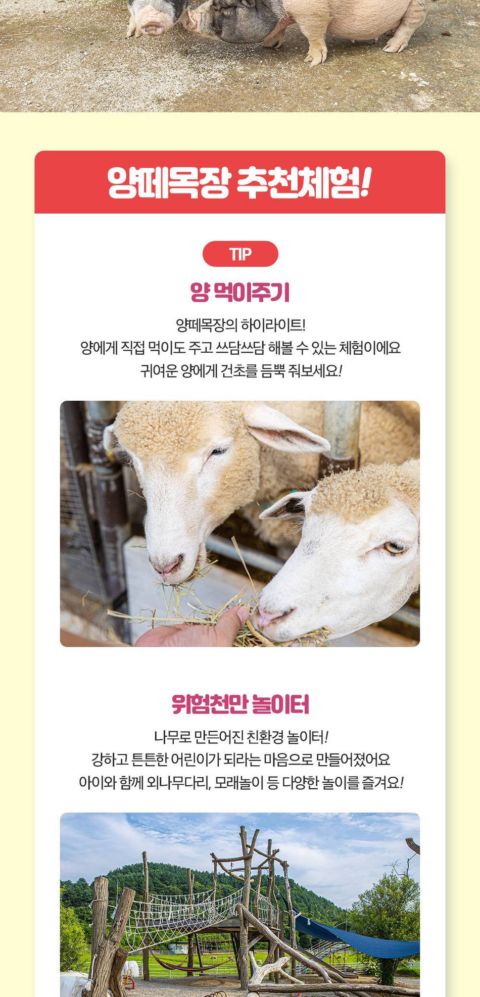 상품 상세 이미지 8