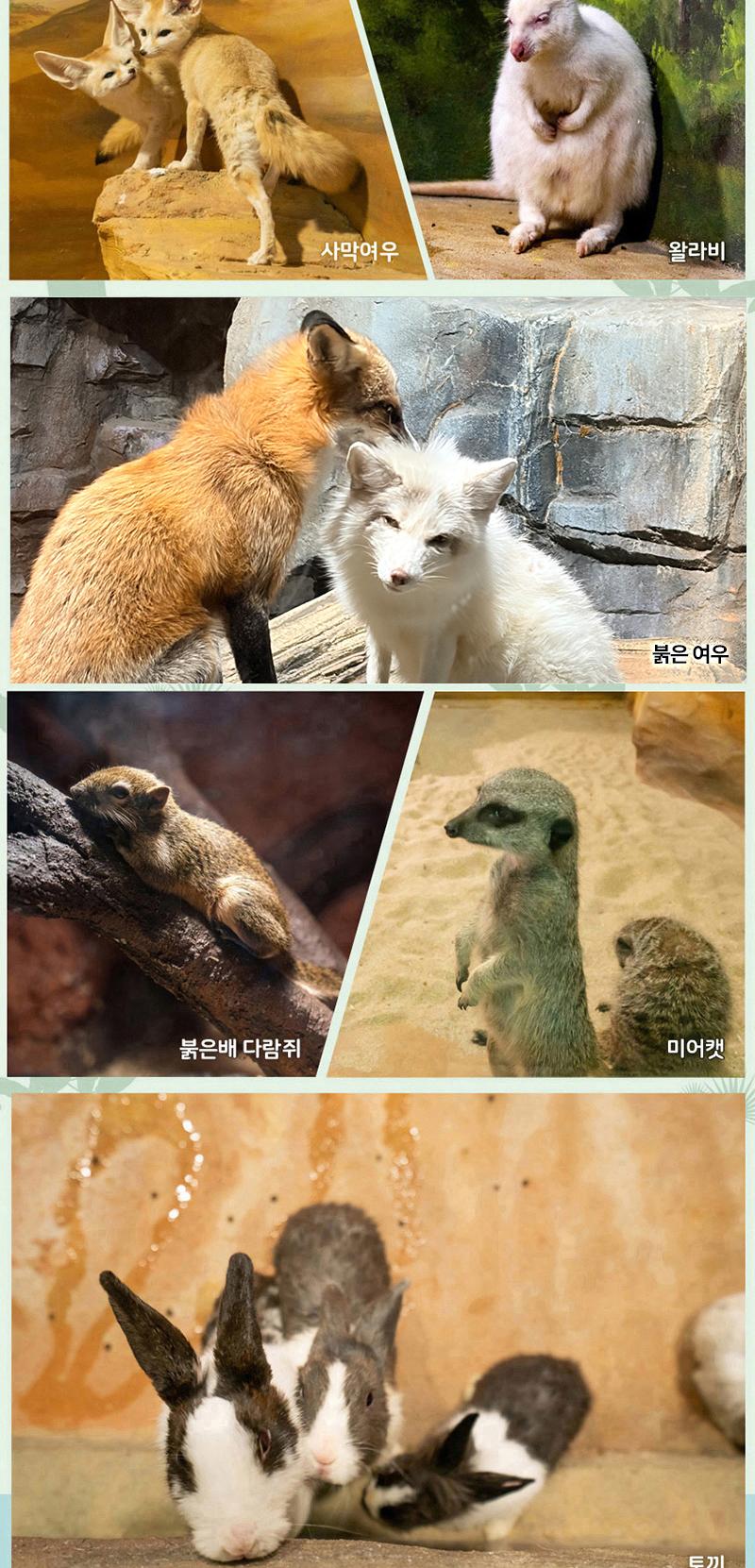 상품 상세 이미지 8