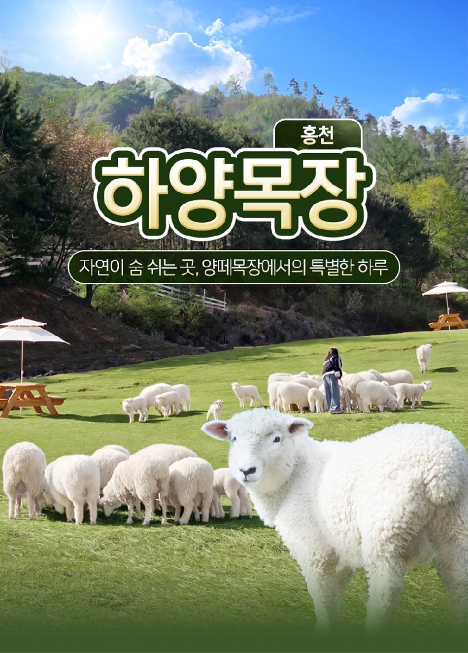 상품 상세 이미지 2