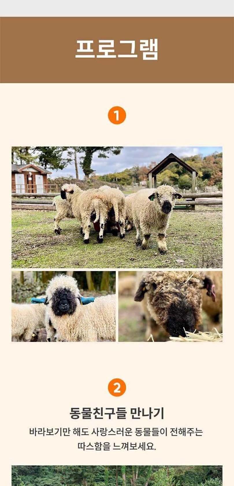 상품 상세 이미지 3