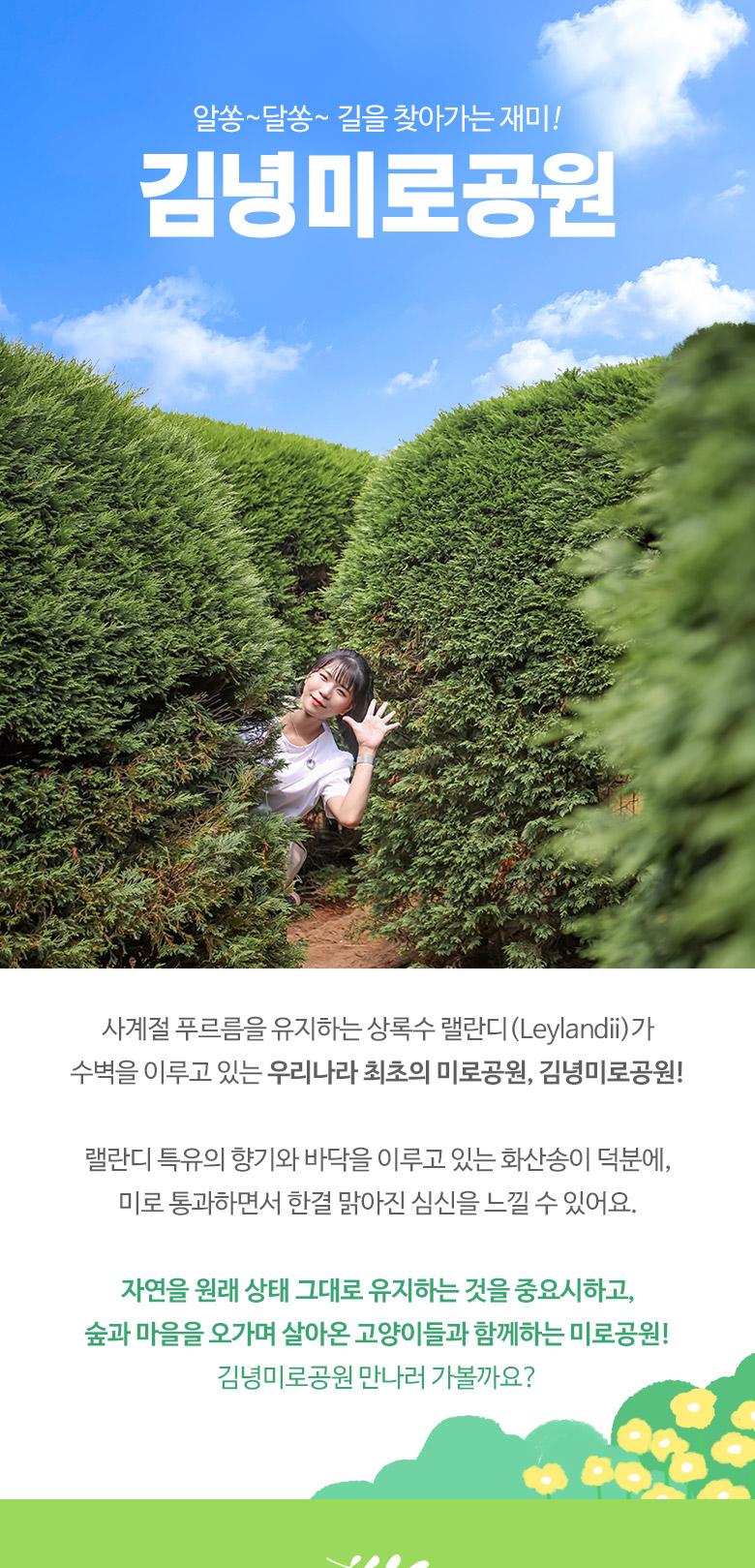 상품 상세 이미지 2