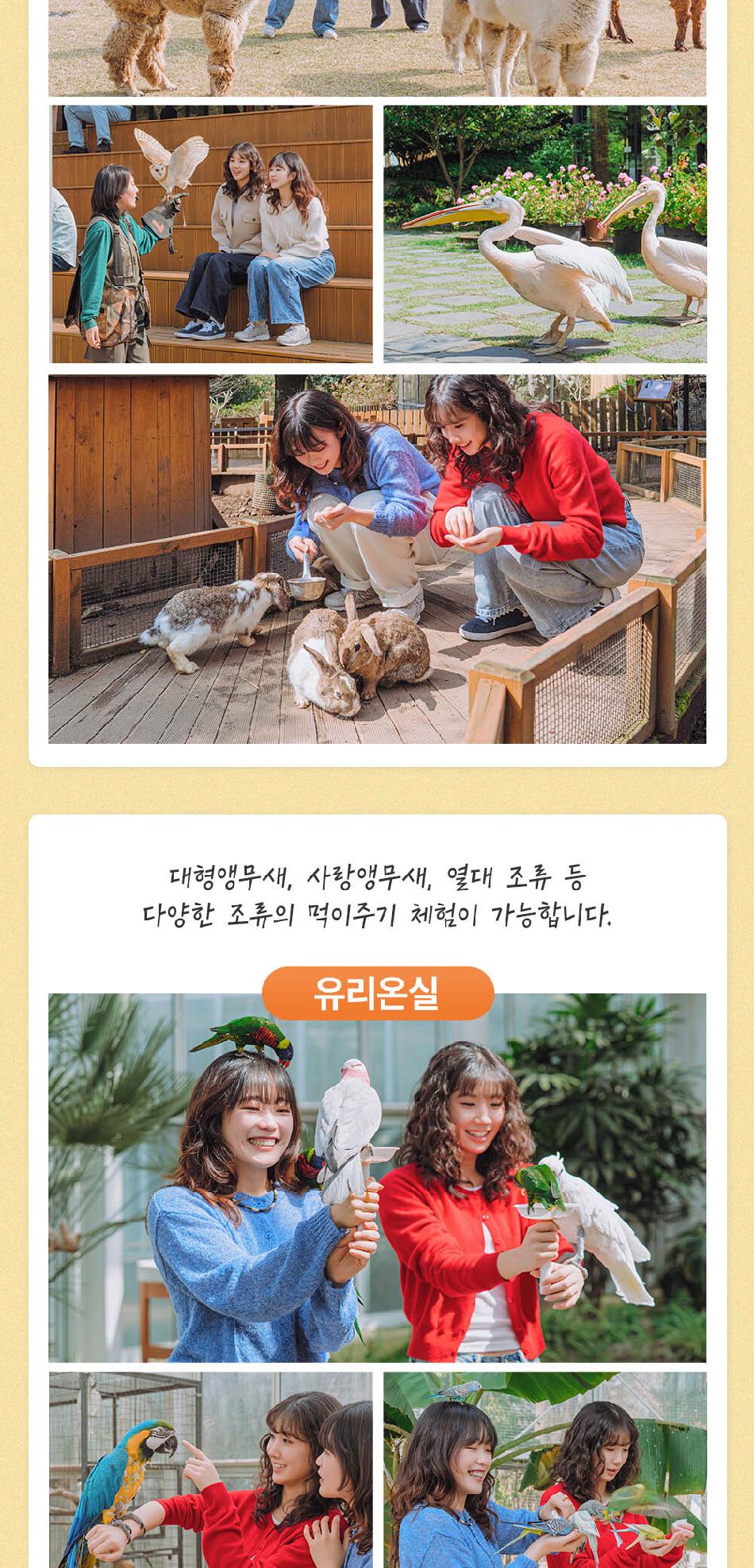 상품 상세 이미지 4
