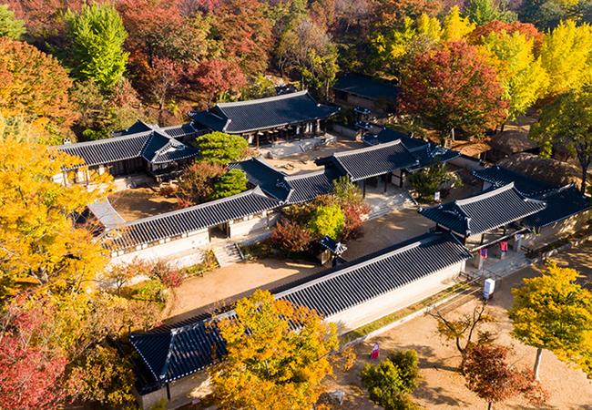 한국민속촌 종일권/오후권 (11월)