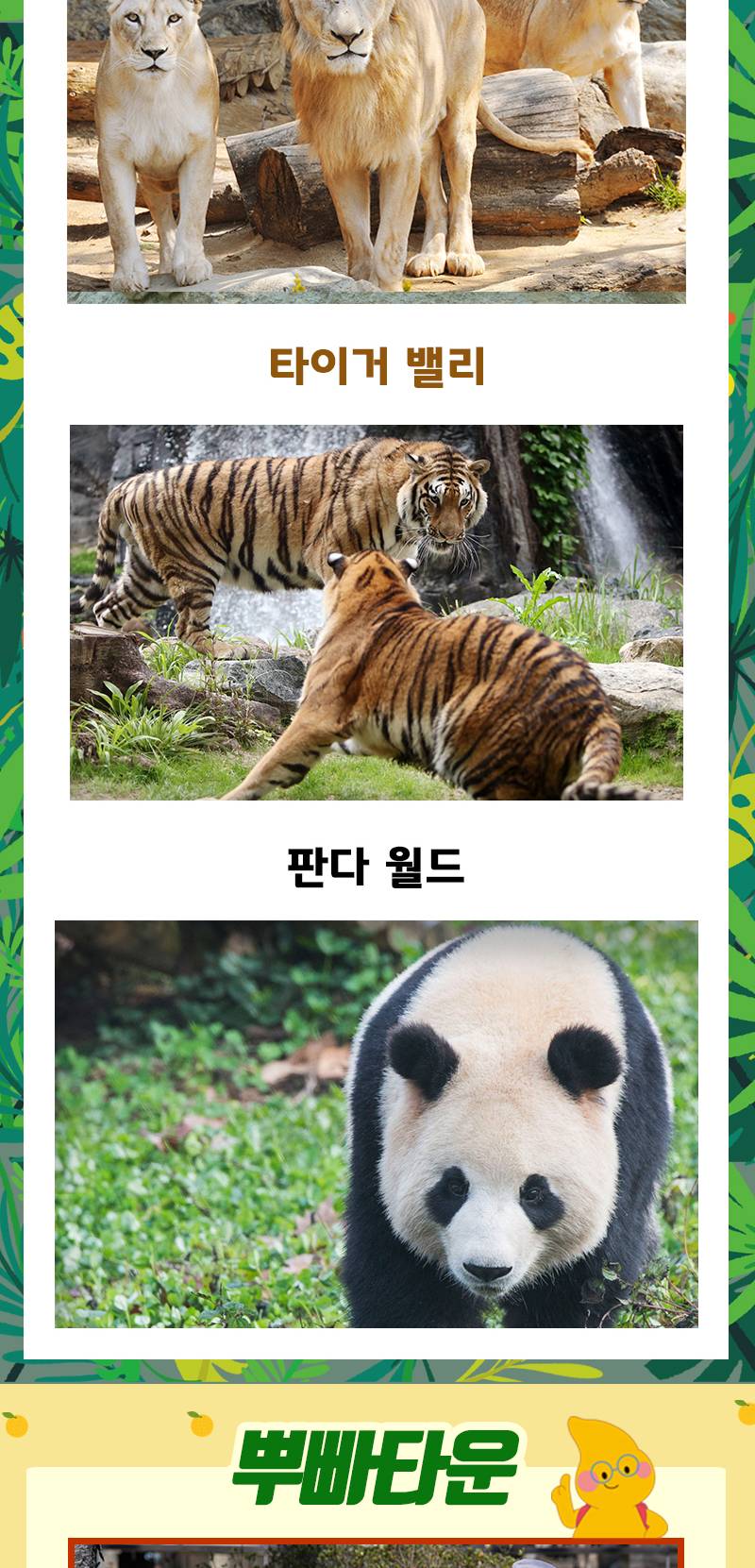 상품 상세 이미지 13