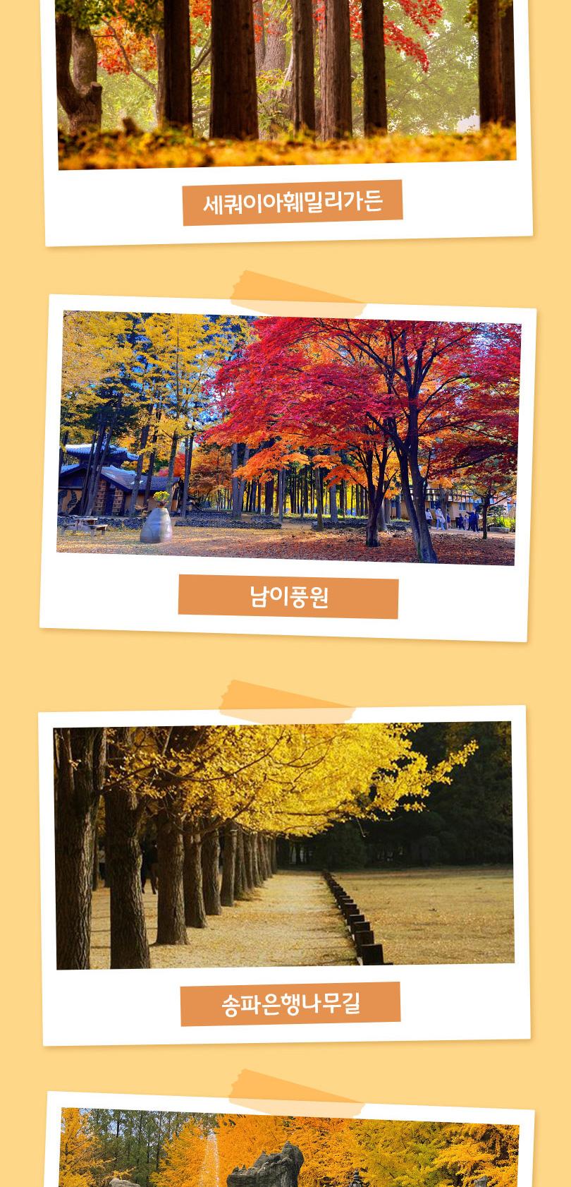 상품 상세 이미지 5