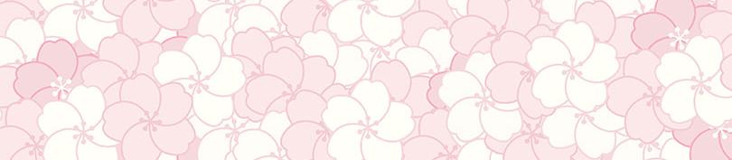 preview-detail