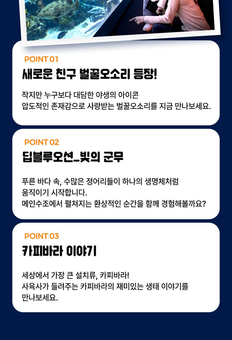 상품 상세 이미지 4