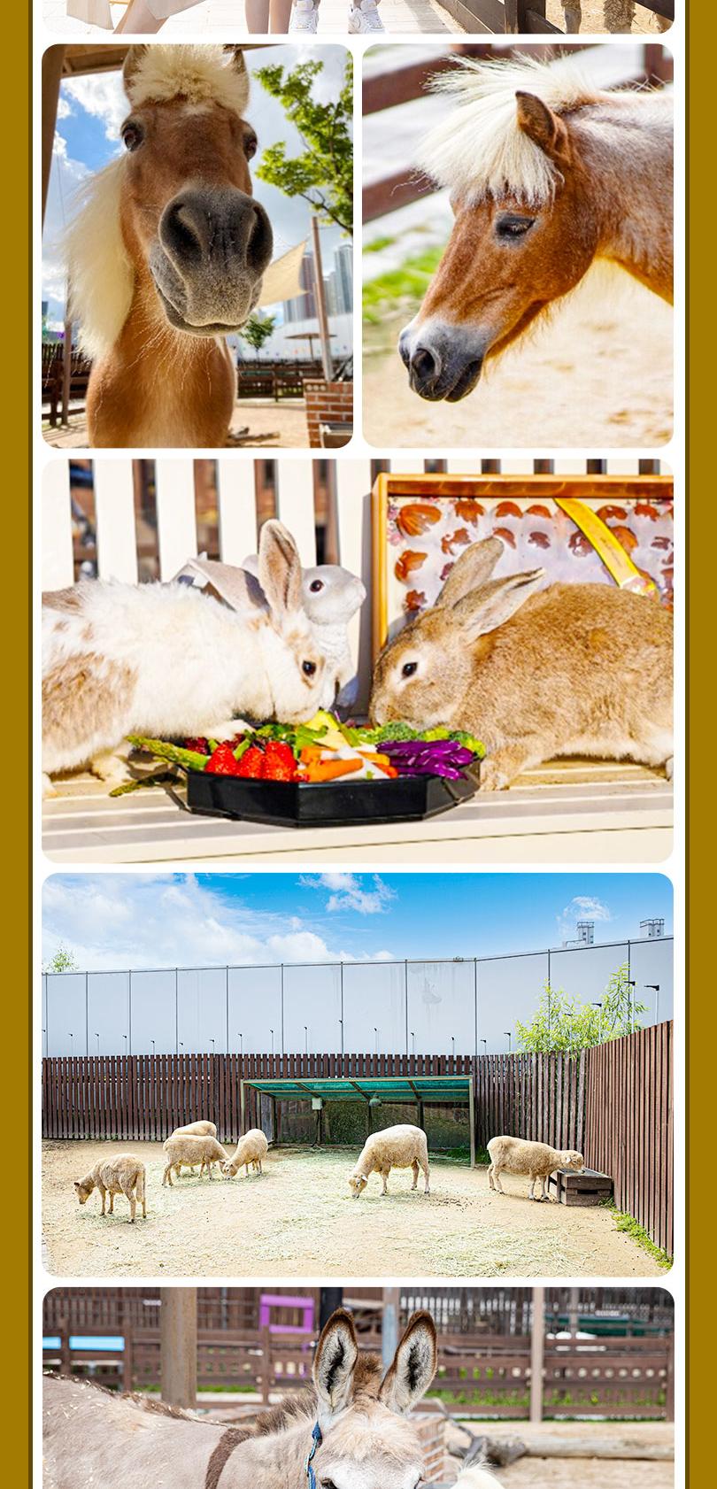 상품 상세 이미지 16