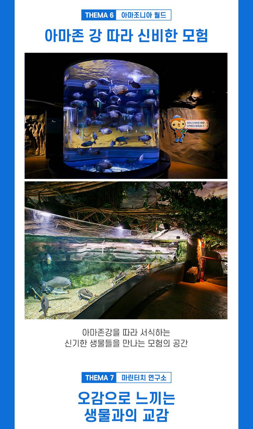 상품 상세 이미지 5