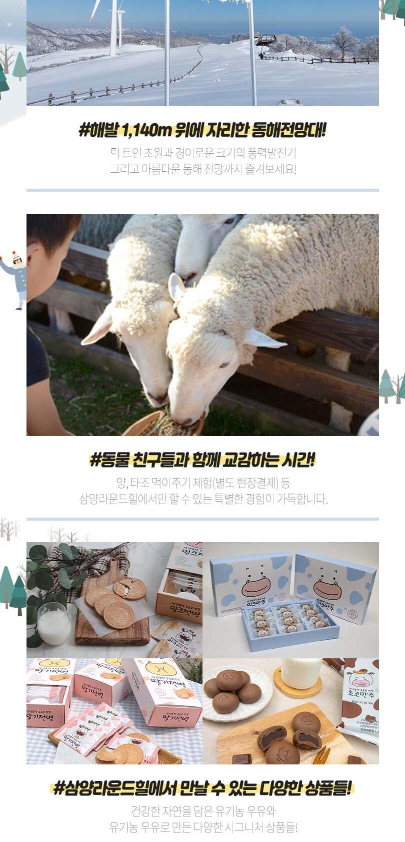 상품 상세 이미지 5