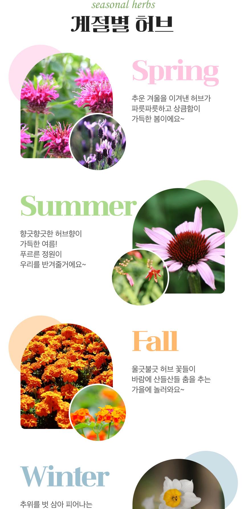 상품 상세 이미지 7