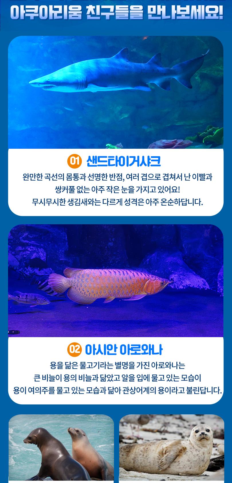 상품 상세 이미지 8
