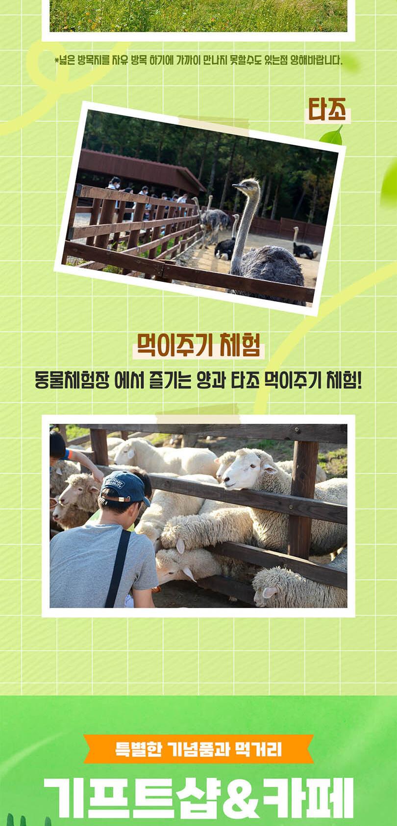 상품 상세 이미지 7