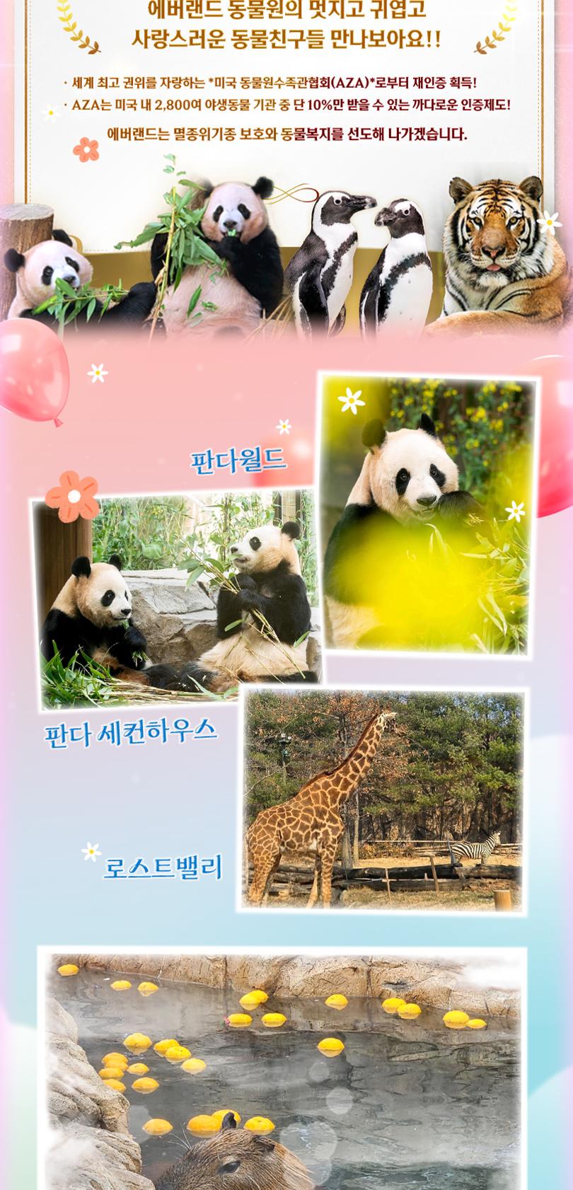 상품 상세 이미지 16