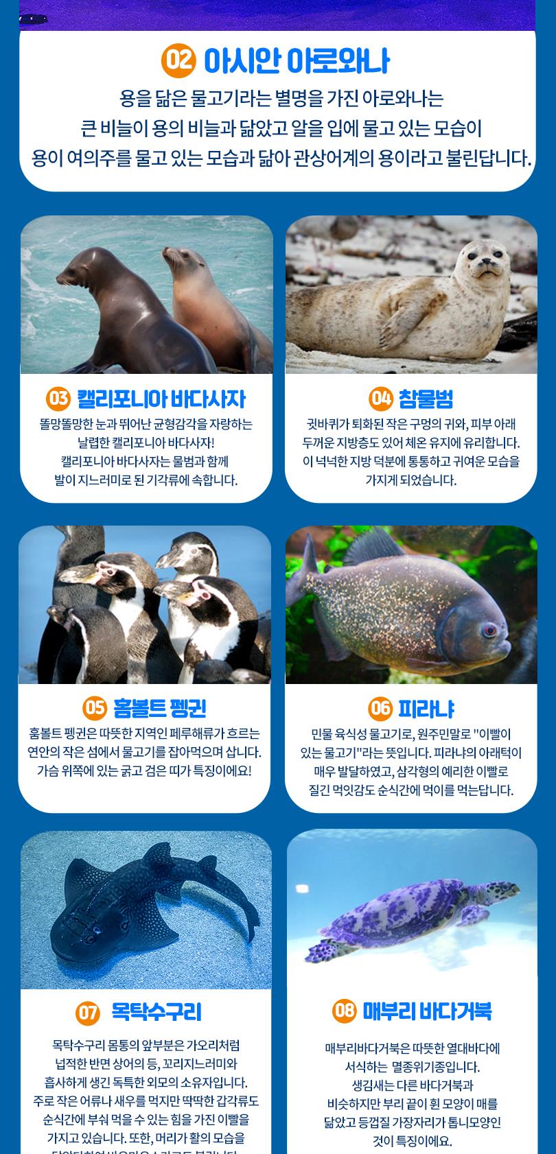 상품 상세 이미지 10