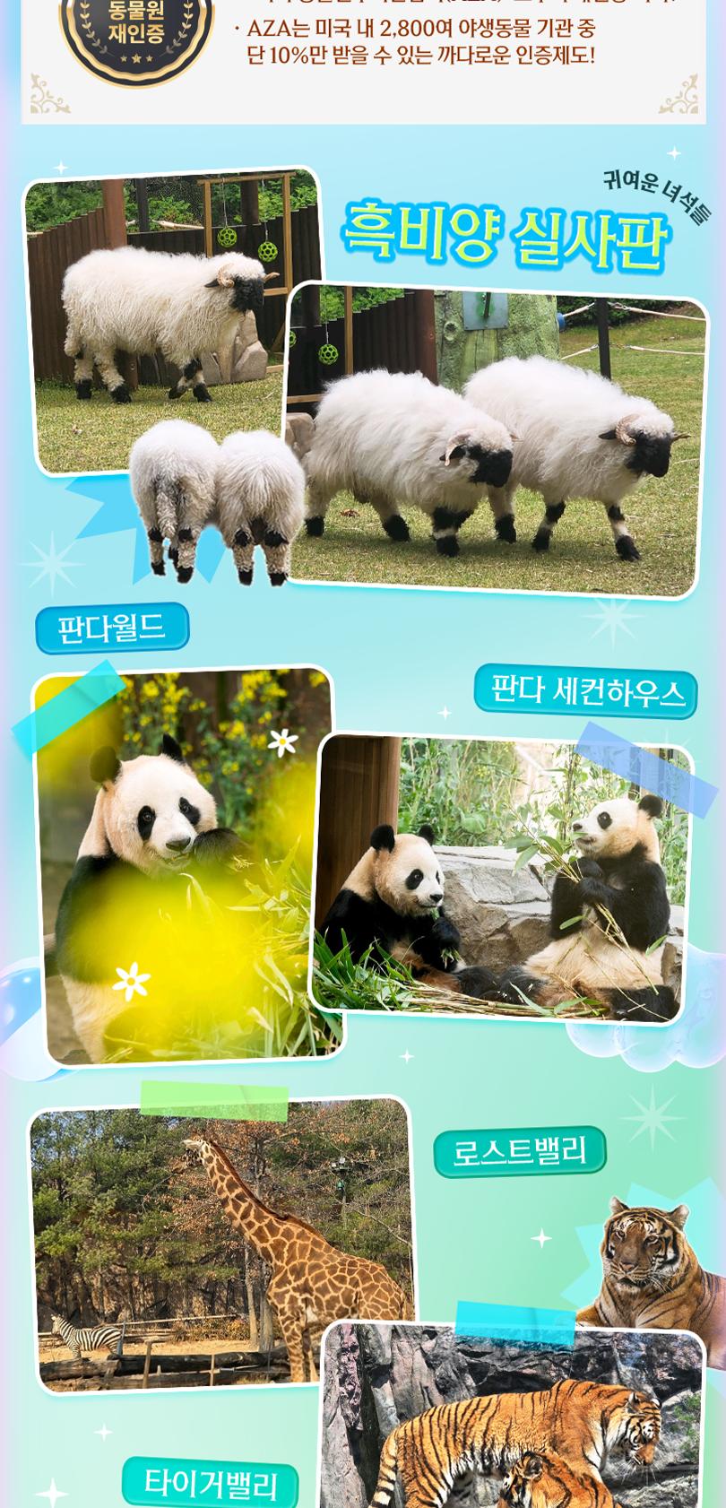 상품 상세 이미지 12