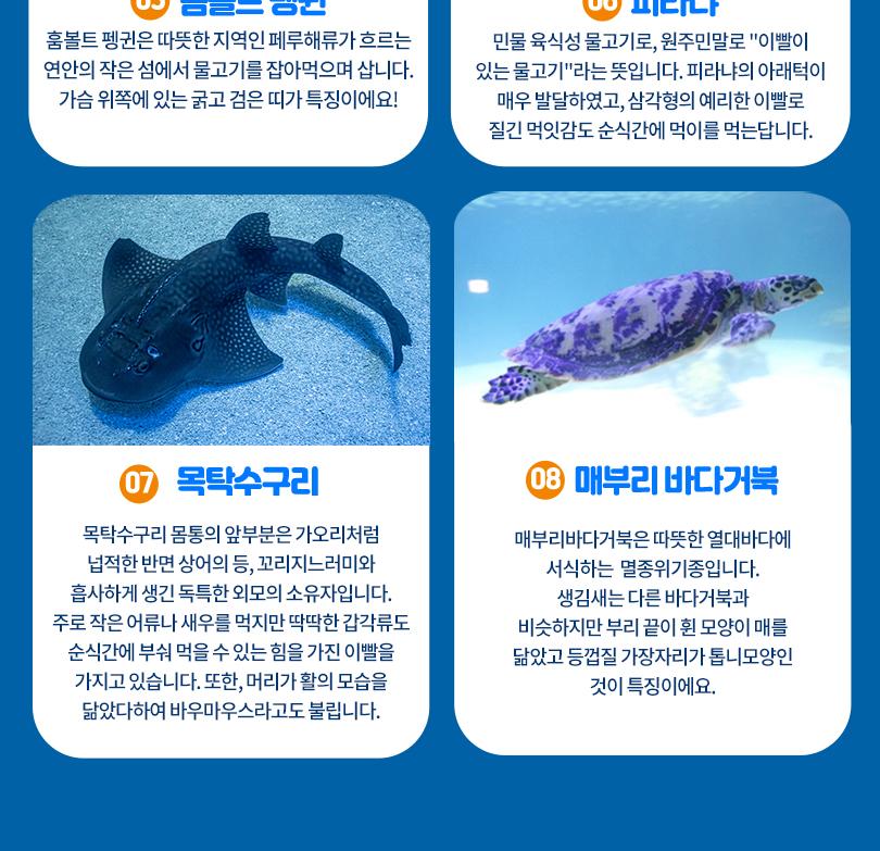 상품 상세 이미지 10