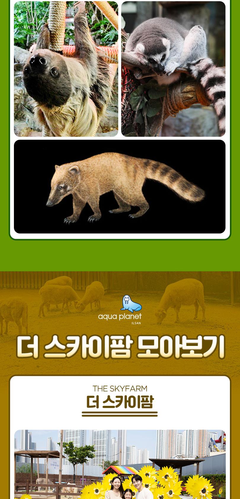 상품 상세 이미지 13