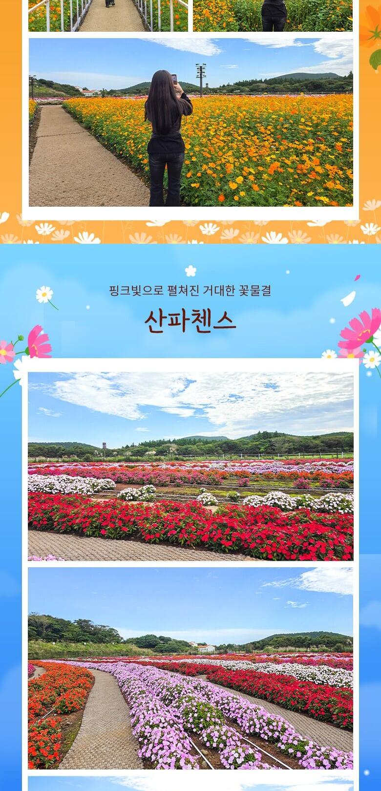 상품 상세 이미지 7
