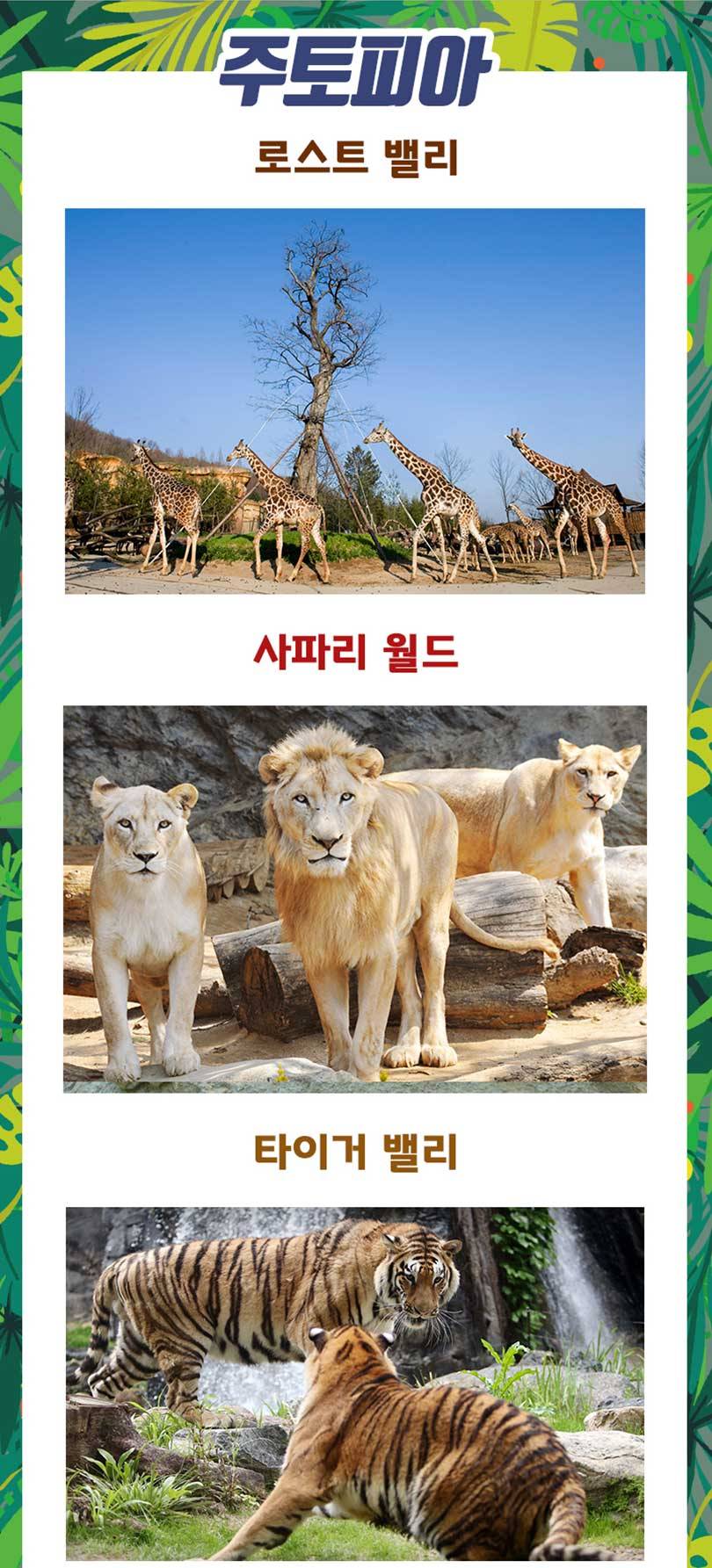 상품 상세 이미지 10