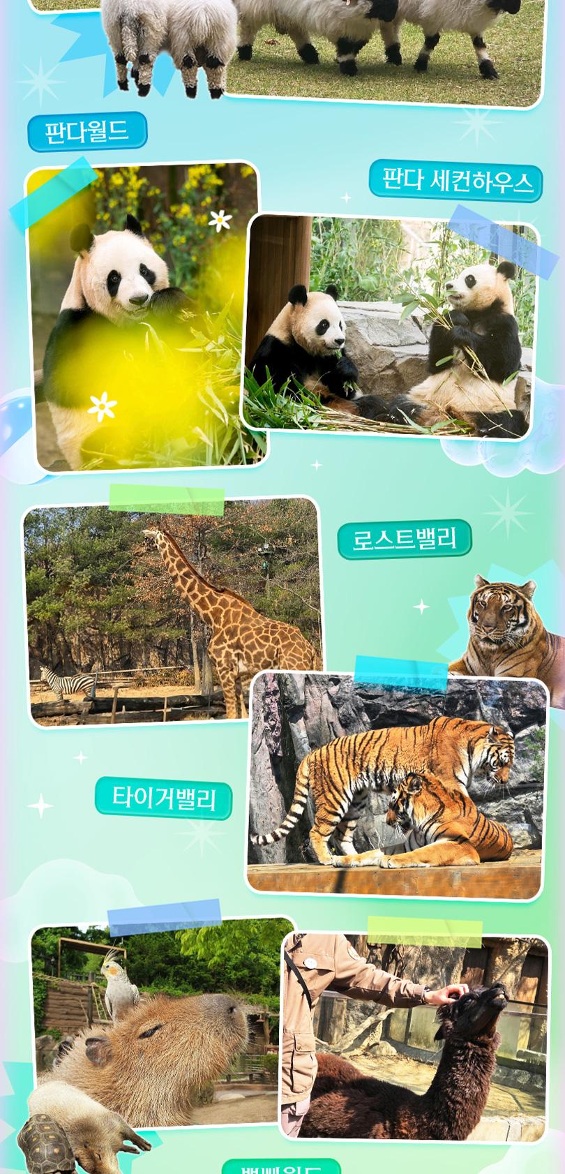 상품 상세 이미지 17