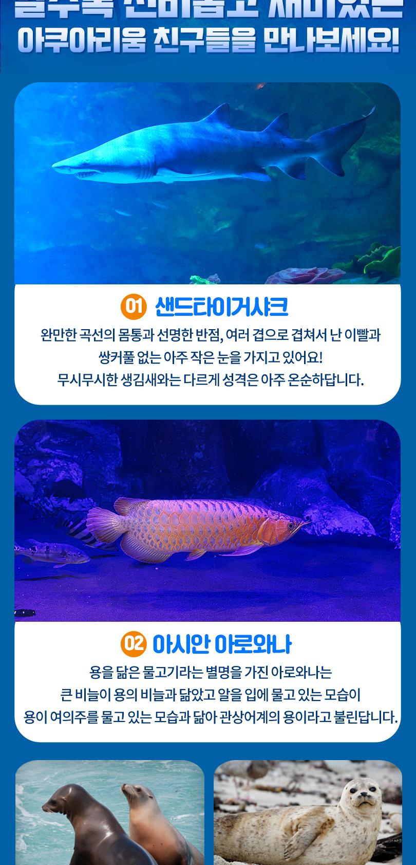 상품 상세 이미지 10
