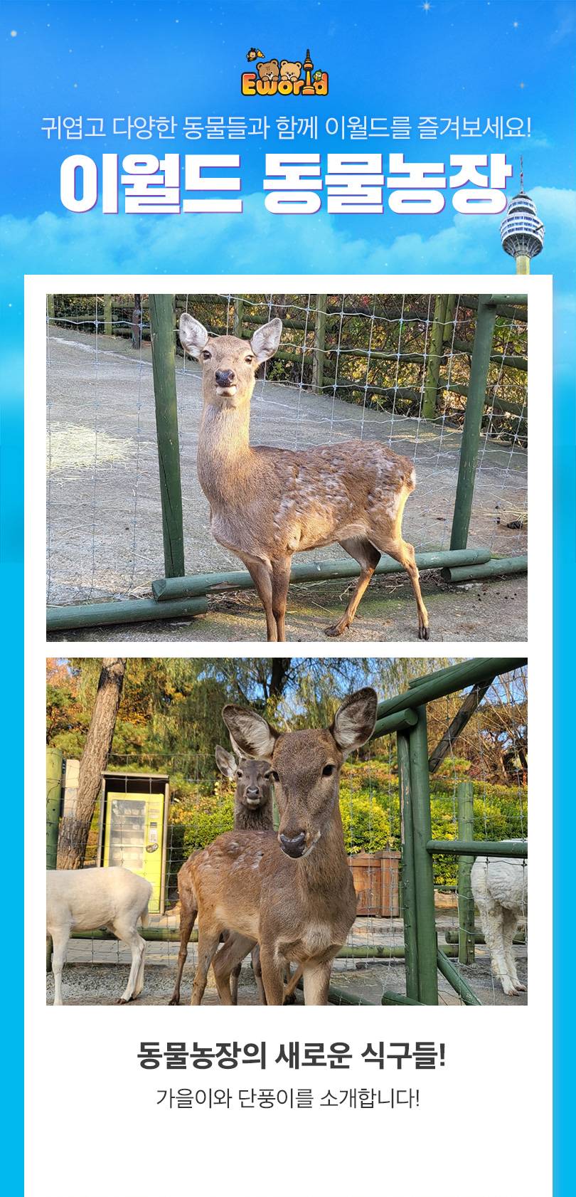 상품 상세 이미지 19