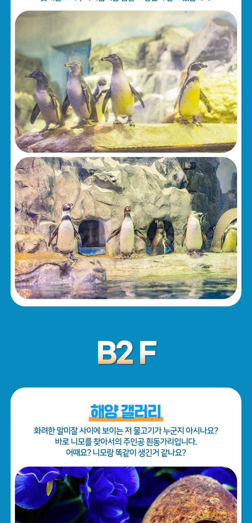 상품 상세 이미지 13