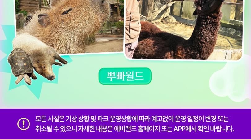 상품 상세 이미지 14