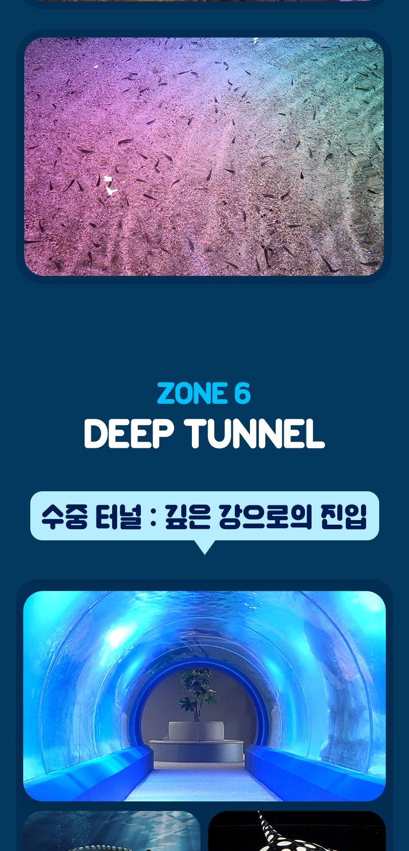상품 상세 이미지 13