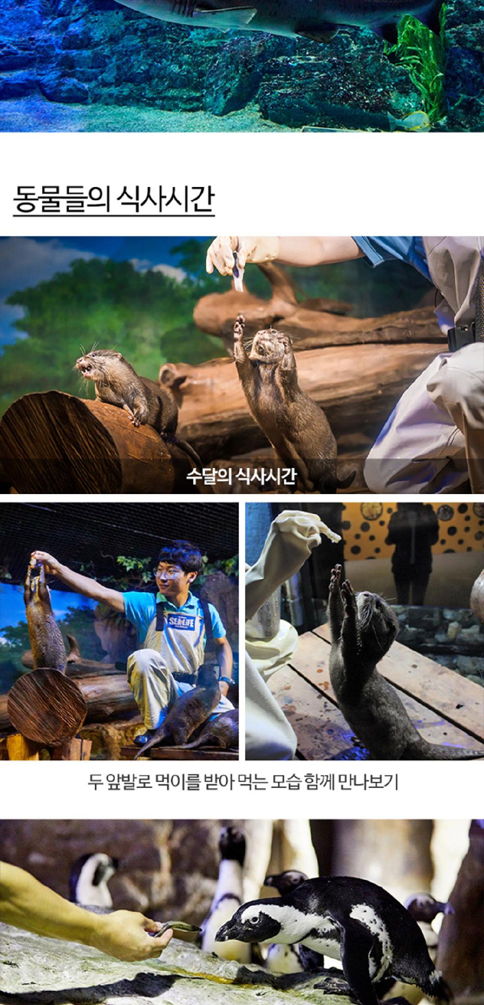 상품 상세 이미지 20