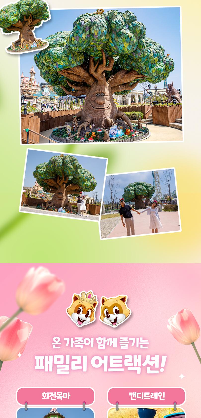 상품 상세 이미지 15