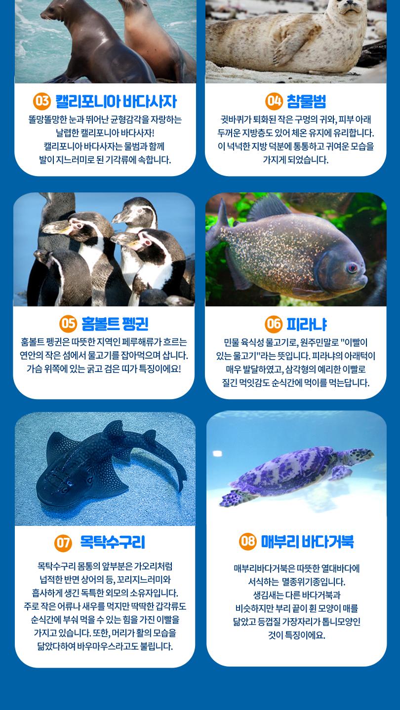 롯데월드 아쿠아리움&서울스카이 입장권