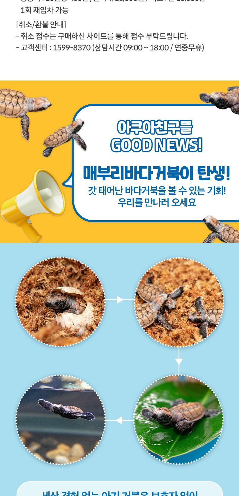 상품 상세 이미지 2