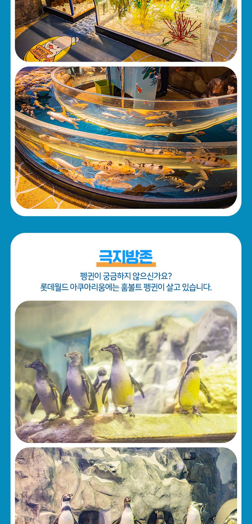 상품 상세 이미지 11