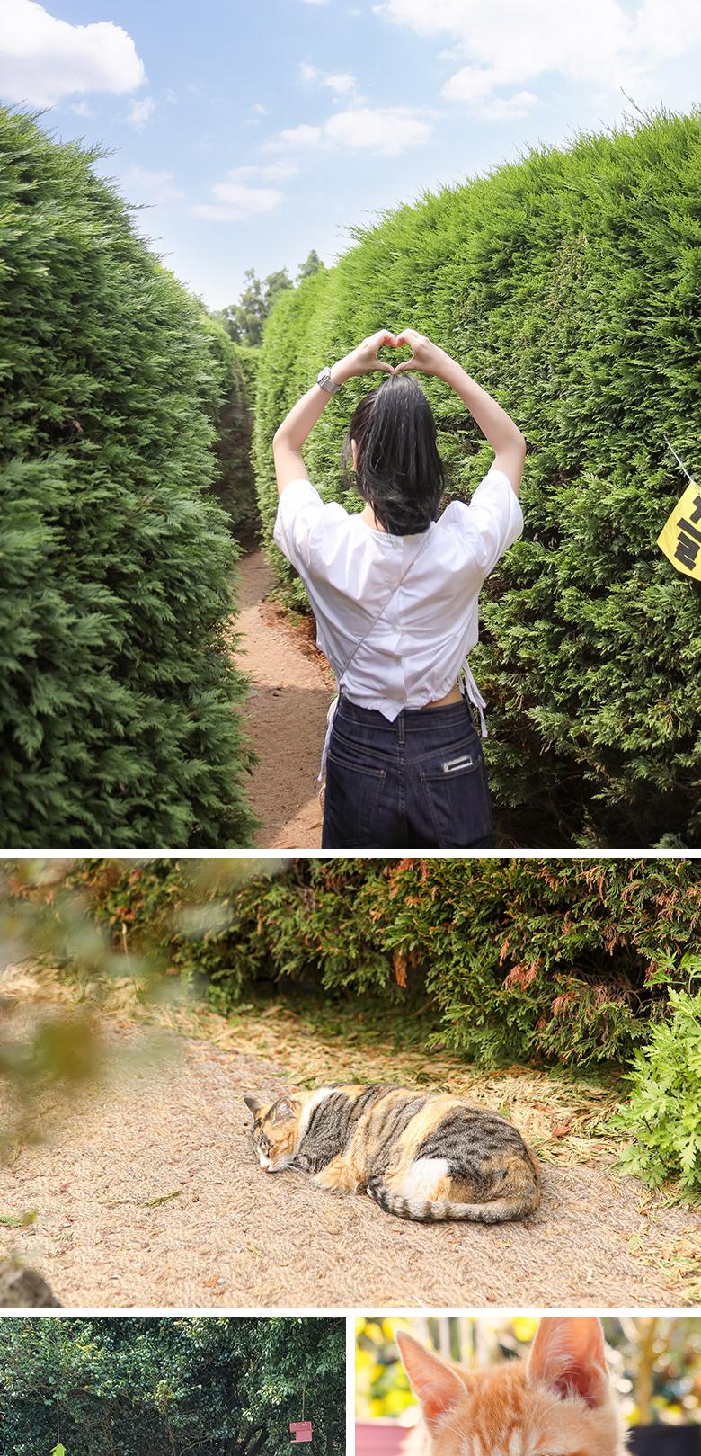 상품 상세 이미지 6