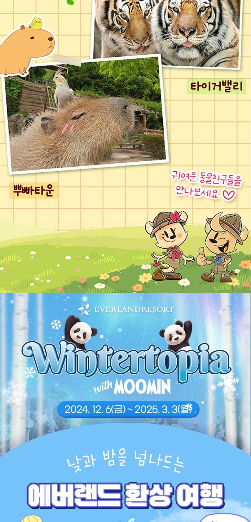 상품 상세 이미지 11