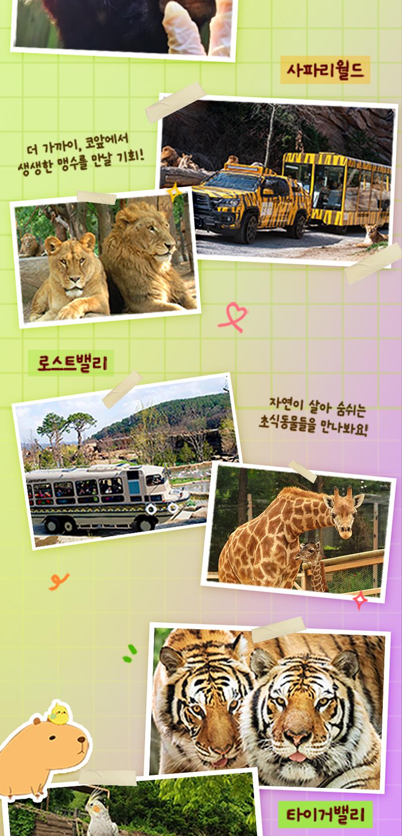 상품 상세 이미지 10