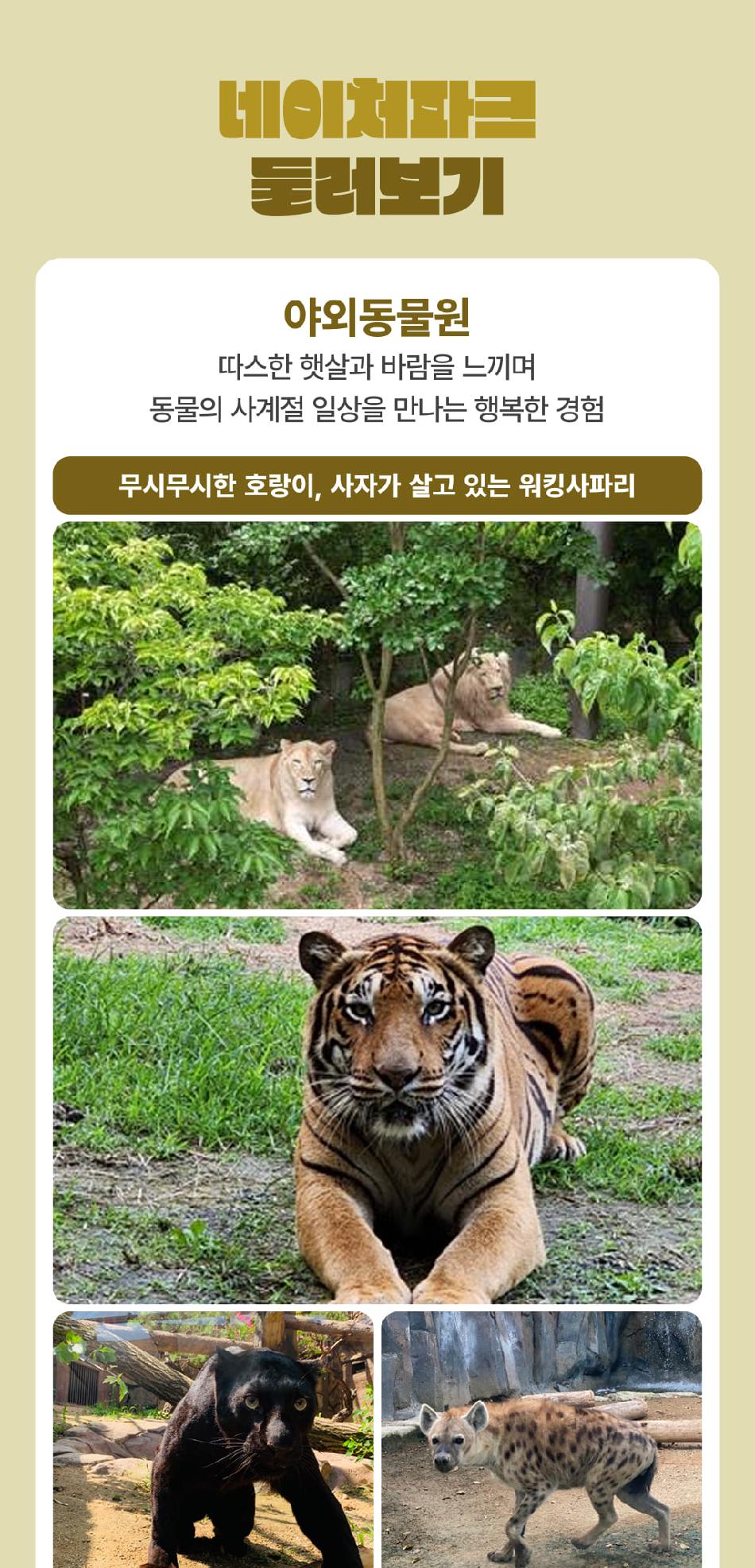 상품 상세 이미지 10