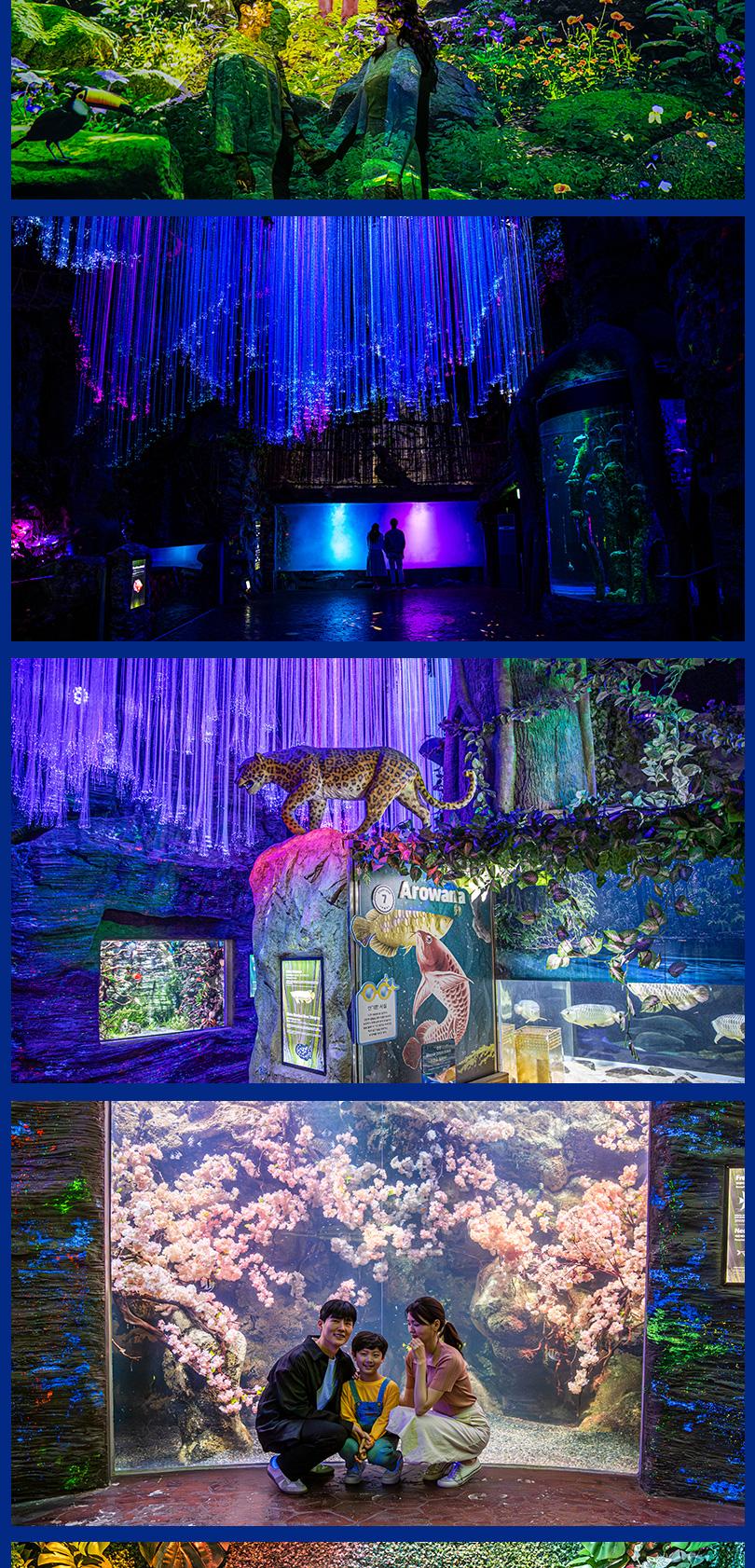 상품 상세 이미지 5