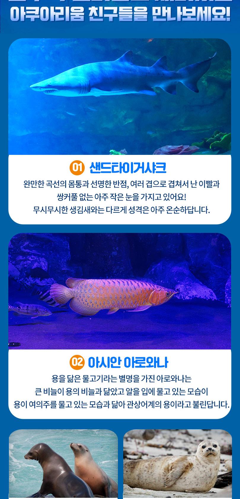 상품 상세 이미지 10