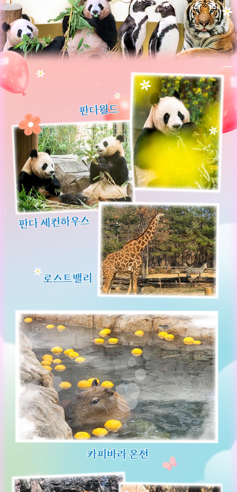 상품 상세 이미지 14