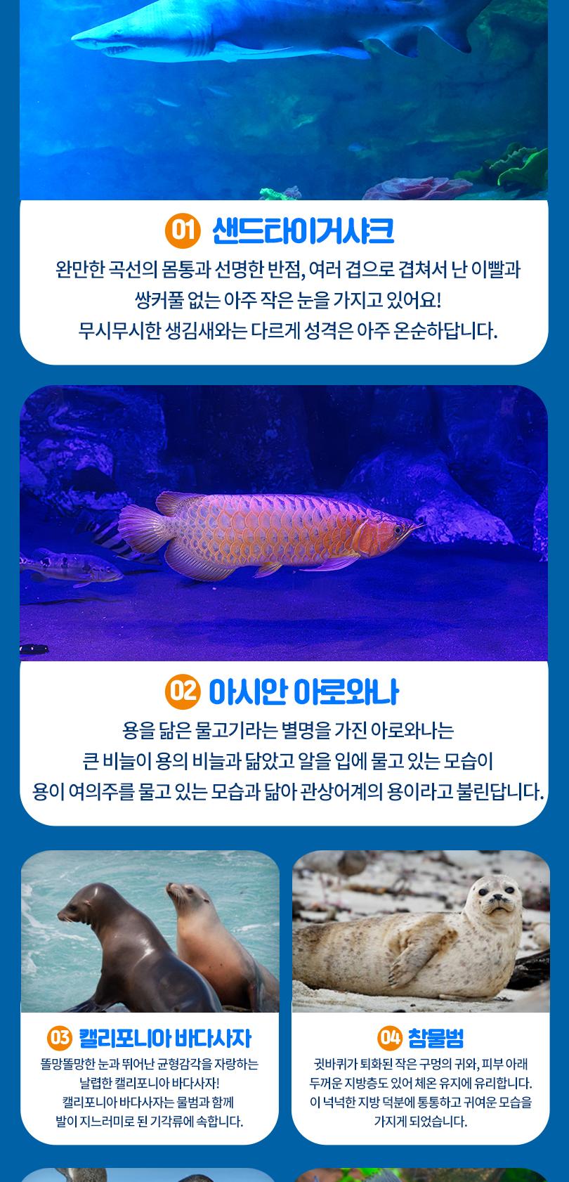 상품 상세 이미지 9